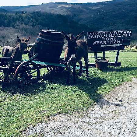 Agroturizam Toni Motovun Exterior foto