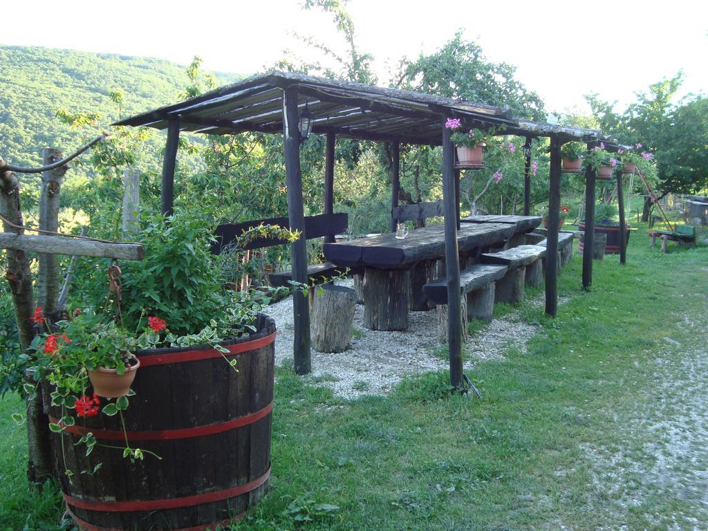 Agroturizam Toni Motovun Quarto foto
